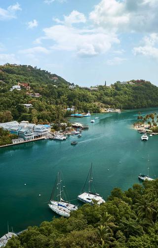 St Lucia Piton Caribbean Humingbird