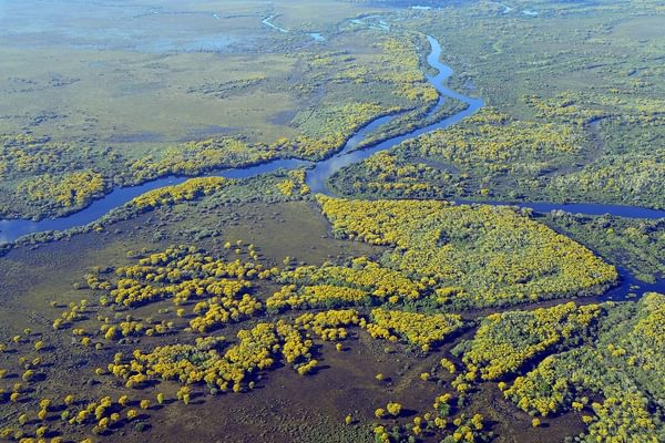Pantanal wetlands Brazil Pantanal wetlands Brazil