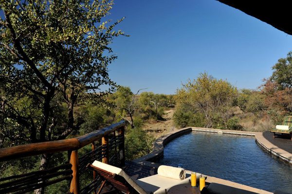 Thakadu River Camp Swimming Pool Thakadu River Camp Swimming Pool
