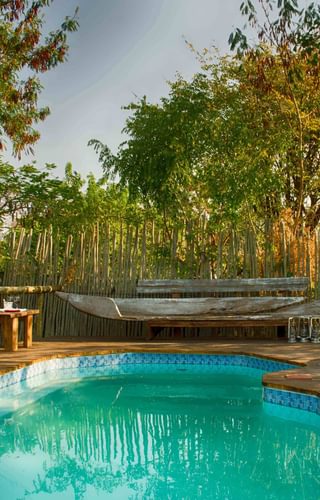 The old house pool view Botswana The old house pool view Botswana