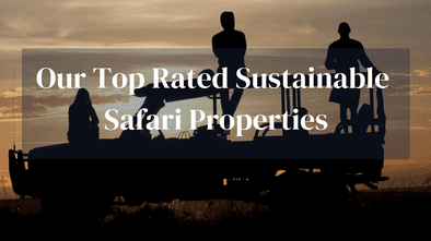 Top Sustainable Safari Lodges