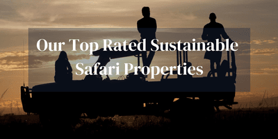 Top Sustainable Safari Lodges