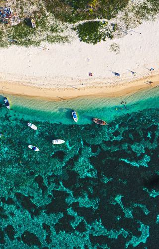 Landing in Mauritius Canva Pro