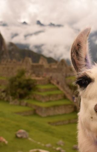 Machu Picchu Canva Pro