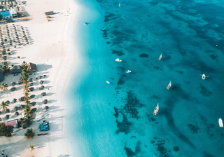Tropic beach of zanzibar Canva Pro Tropic beach of zanzibar Canva Pro