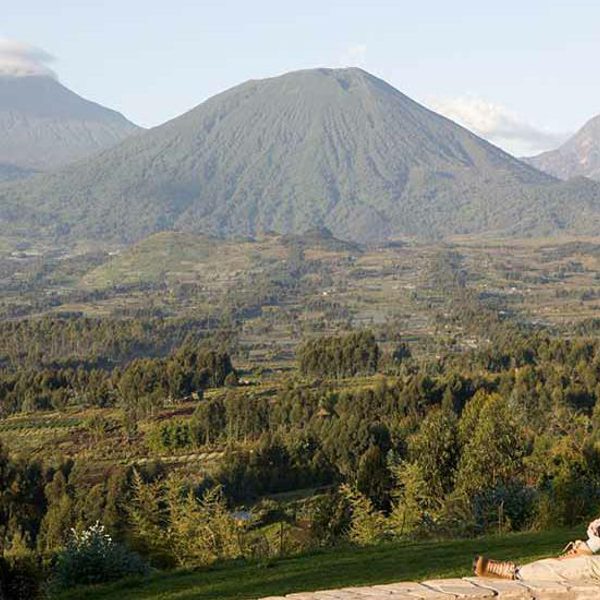 Honeymoon Virunga Volcanoes A Volcanoes Safaris