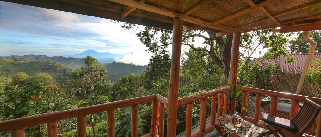 Nkuringo  Bwindi  Lodge
