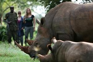 Ziwa  Rhino  Sancturary  Rhino  Fund  Uganda