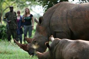 Ziwa Rhino Sancturary Rhino Fund Uganda Ziwa Rhino Sancturary Rhino Fund Uganda