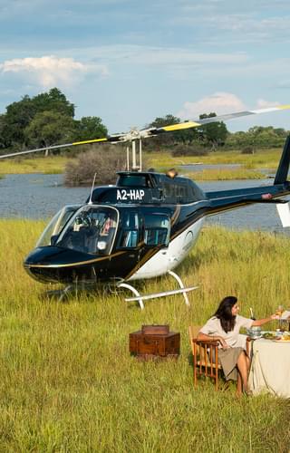 Helicopter Flight In Okavango Delta