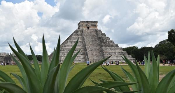 Chichen itza pyramid mexico plants