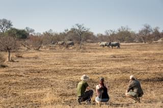 Walking Safari Kruger National Park