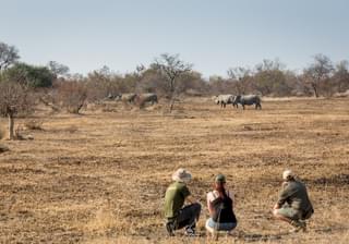 Walking Safari Kruger National Park