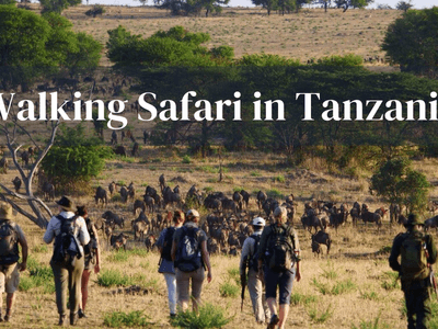 Walking Safari Tanzania