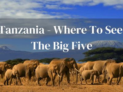 Where To See Big Five Tanzania