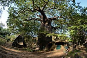 Yaeda Camp Orig Yaeda Camp Orig
