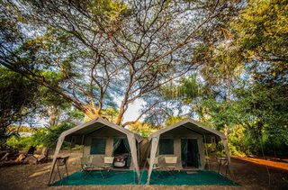 Safari Guide Services Botswana Family Mobile Safari Guide Services Botswana Family Mobile