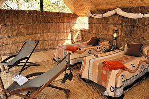 Chikoko Tree Camp Twin Room