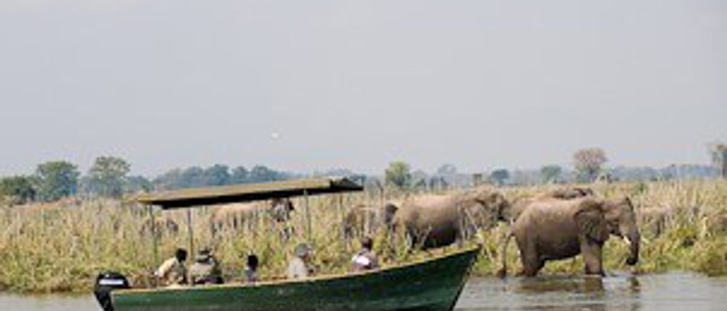 Zma16  Liwonde Boat Cruise