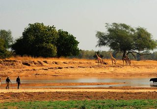 Zambia Walking Safari Nsolo