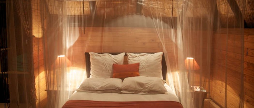 Zimbabwe Miombo Lodge In Hwange