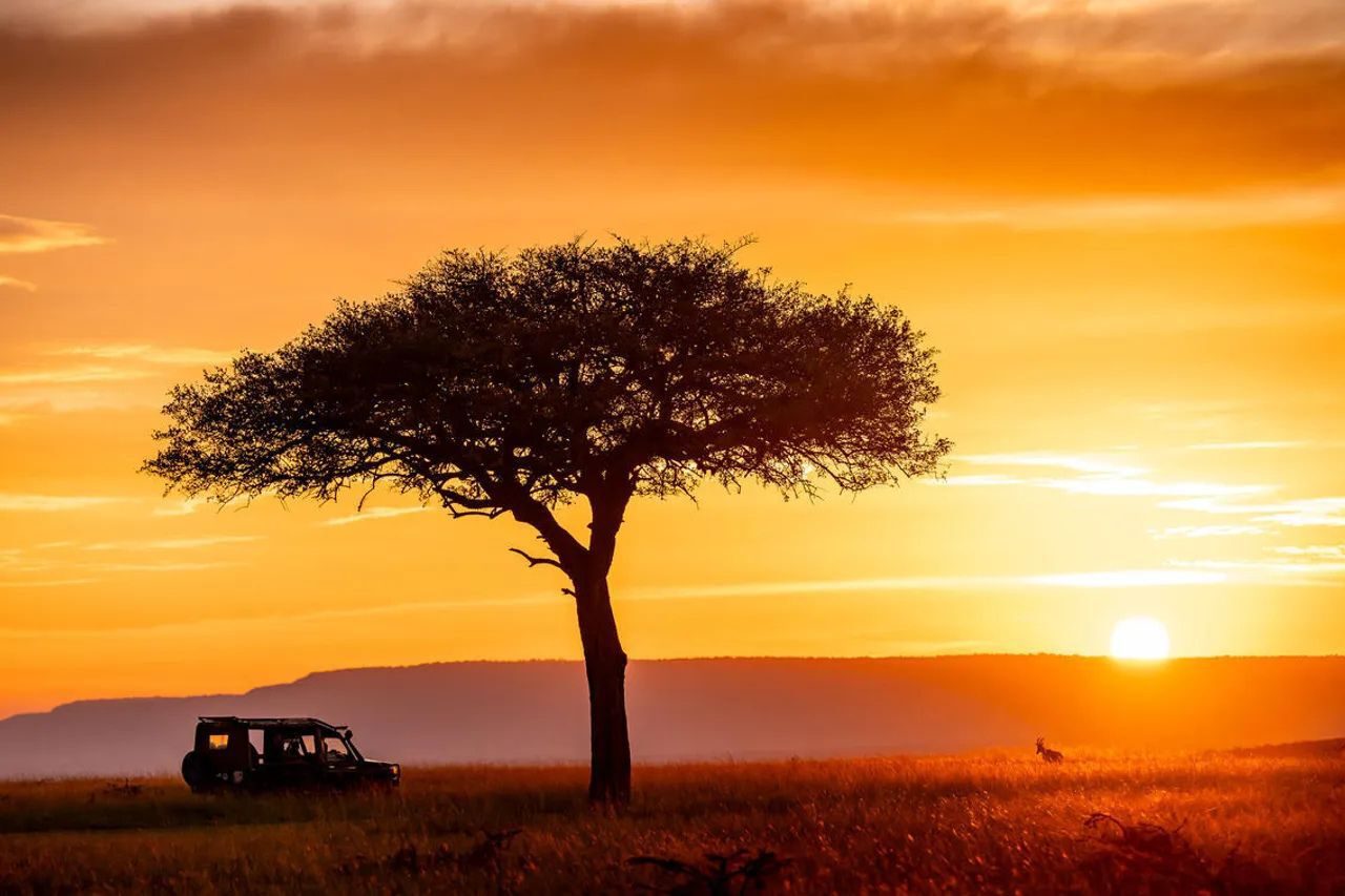 Offbeat Game Drive Honeymoon Trip